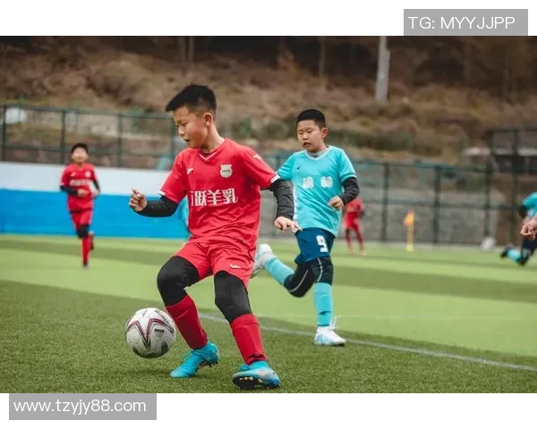 追寻绿茵梦从少年到巨星的足球成长笔记 追寻绿茵梦从少年到巨星的足球成长笔记