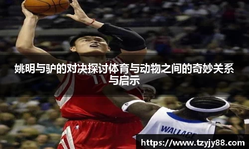 姚明与驴的对决探讨体育与动物之间的奇妙关系与启示