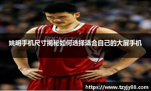 姚明手机尺寸揭秘如何选择适合自己的大屏手机