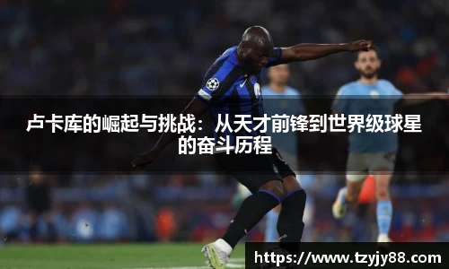 金年会体育